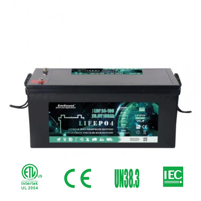 Mighty Max Battery 12V 100AH Gel Battery Replaces Solar Wind Deep Cycle  VRLA 12V 24V 48V