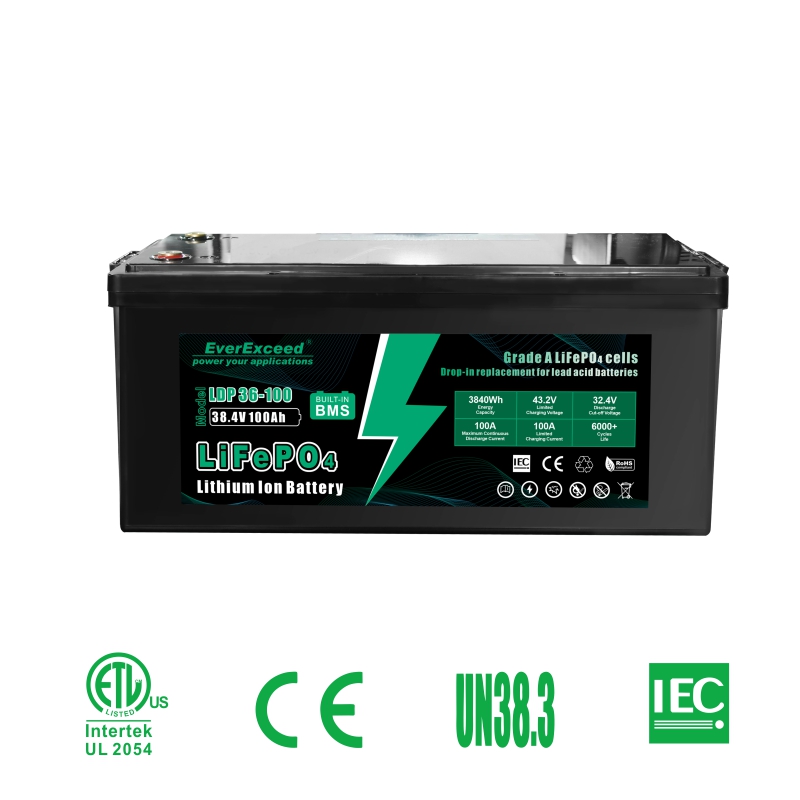 Electric Vehicle /Electric Scooter battery