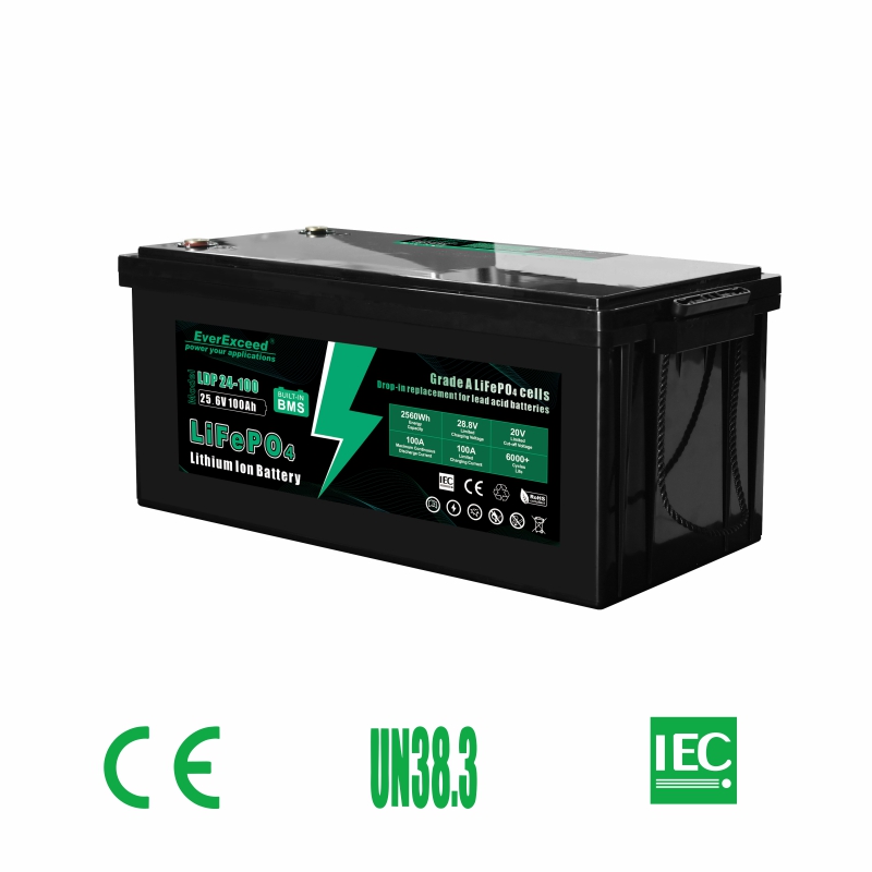 Electric Vehicle /Electric Scooter battery