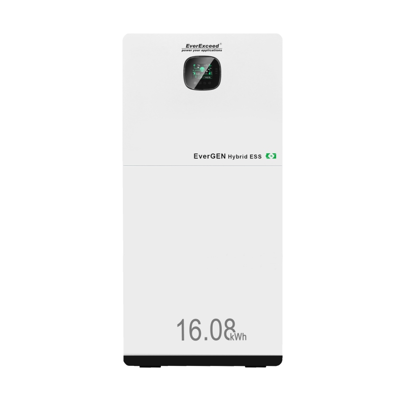Hybrid Energy Storage System