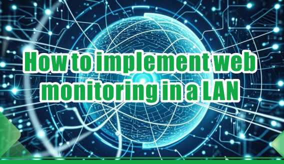 How to implement web monitoring in a LAN