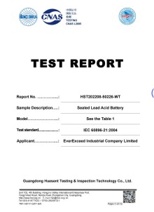 IEC 60896